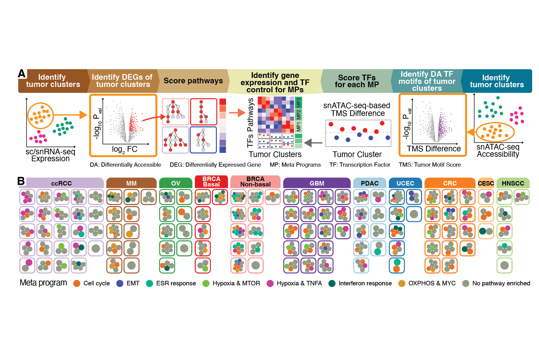 Portfolio 2026_Data37B.png