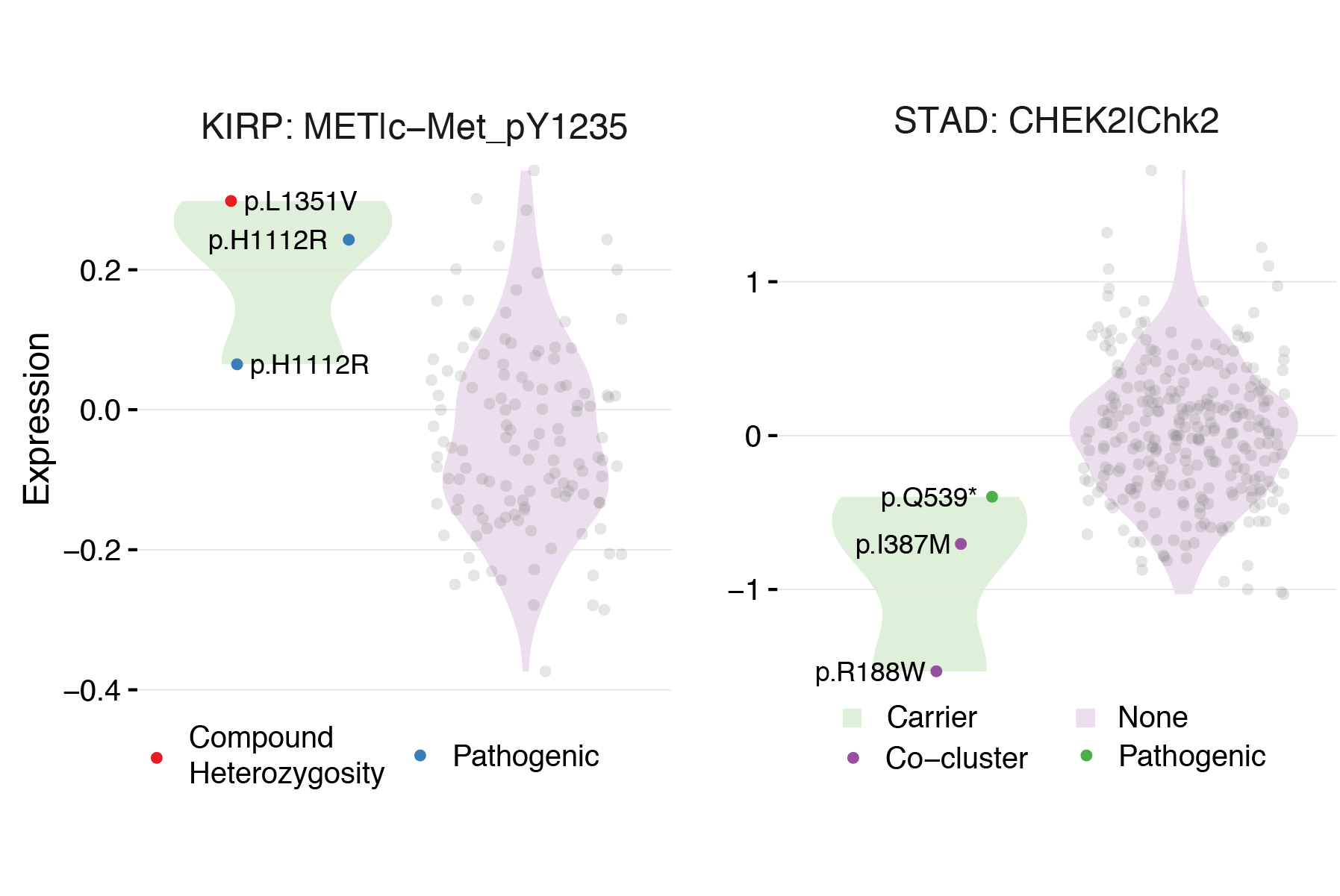 Portfolio 2026_Data40.png