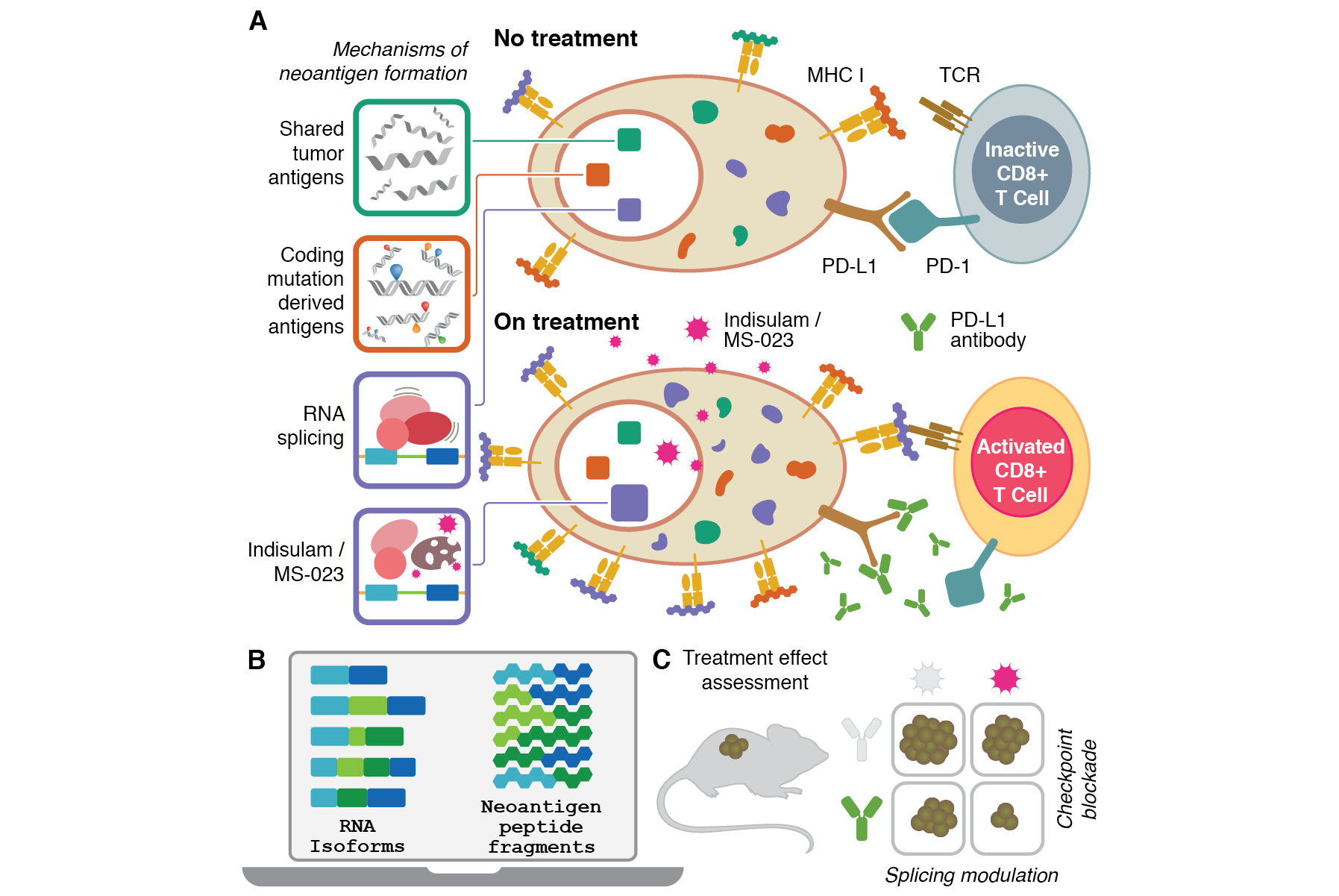 Portfolio 2026_book32.png