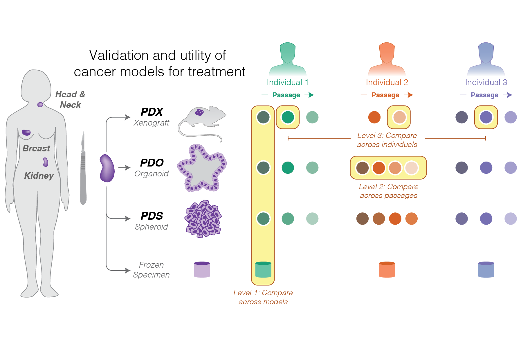 Portfolio 2026_Experime58.png