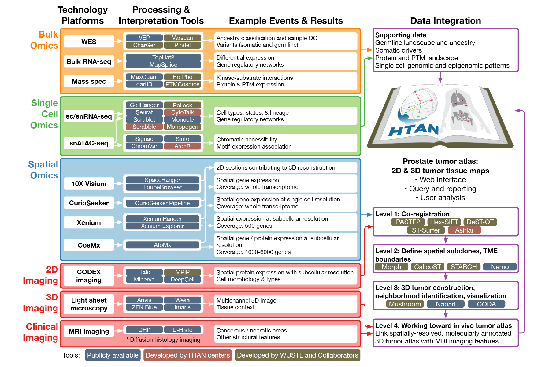 Data processing for HTAN Phase 2 grant application (2024): Details of algorithms and workflows used in proposed analysis of prostate tumors. Part of a successful $17M grant application.