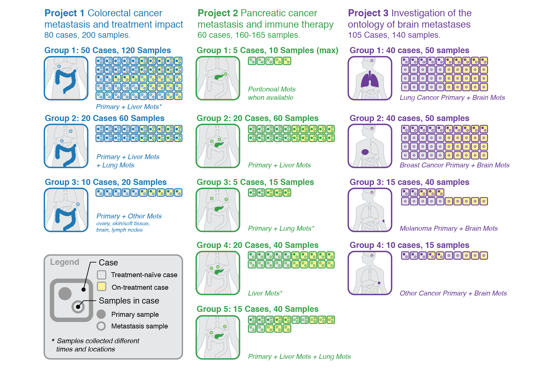 Portfolio 2026_Experime53.png