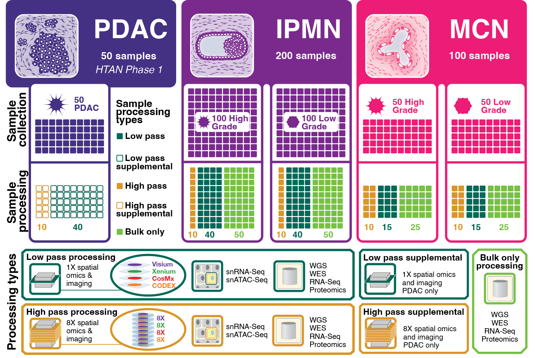 Portfolio 2026_Experime46.png