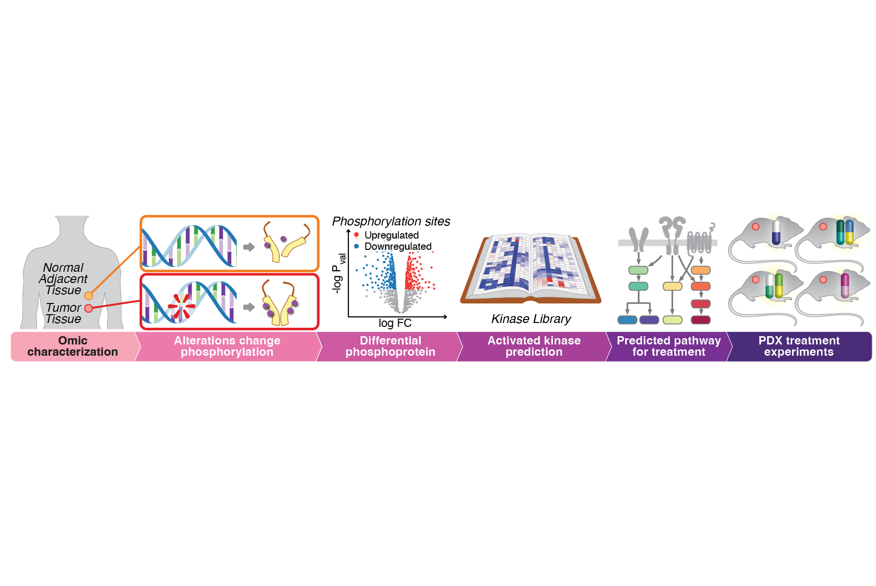 Portfolio 2026__Abstract11.png