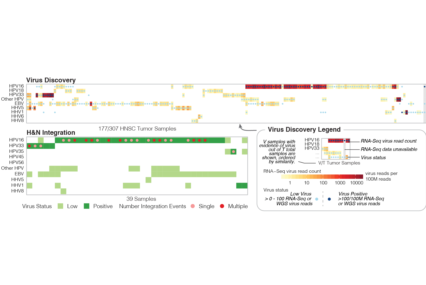 Summary of evidence of viral integration for a cohort of samples from next generation sequencing data, part of the Breakpoint Surveyor project