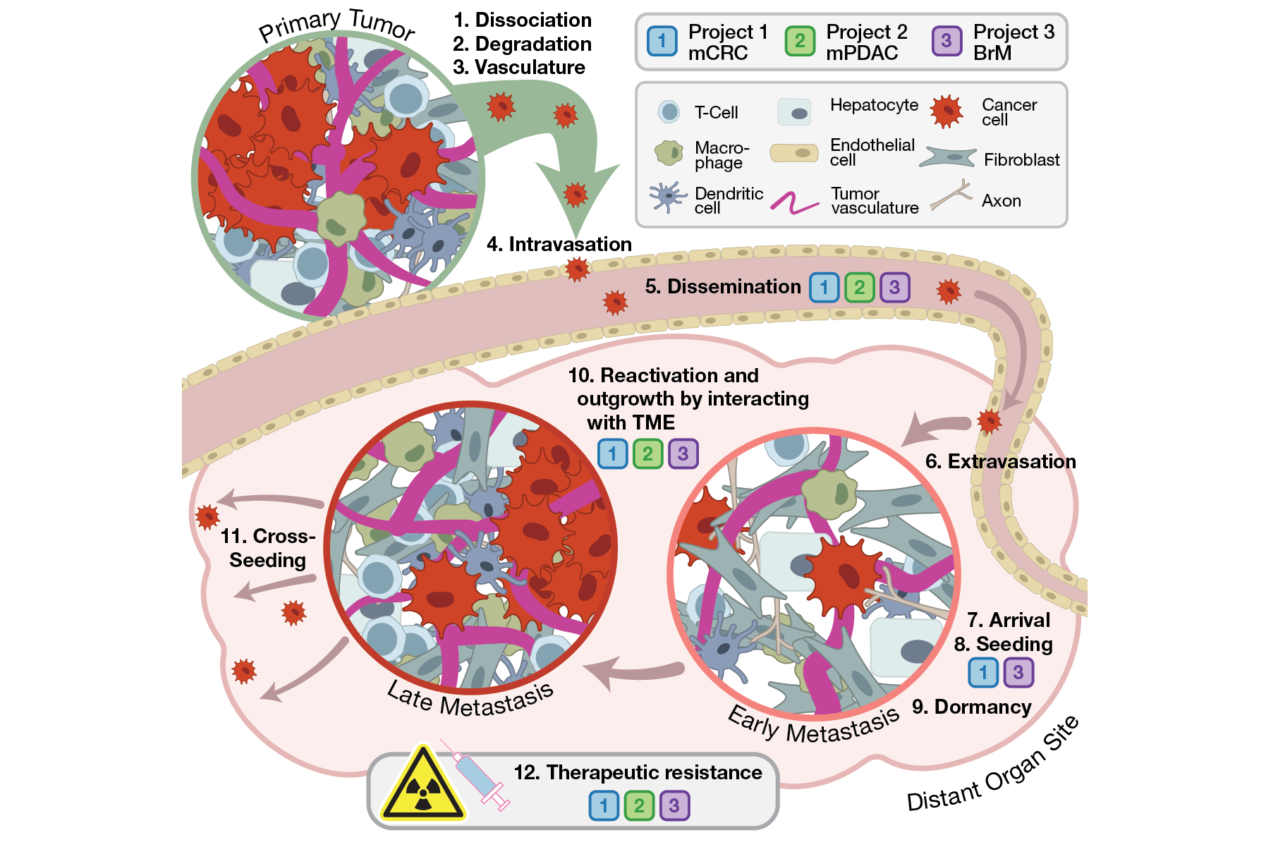Portfolio 2026__Abstract5.png