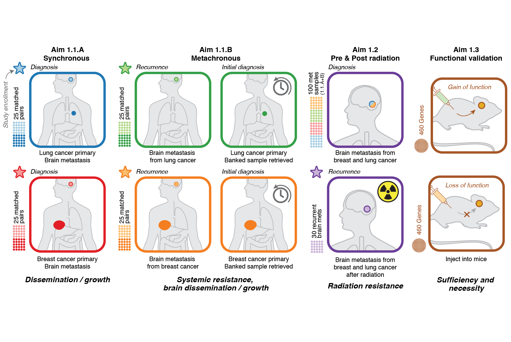 Portfolio 2026_Experime57.png