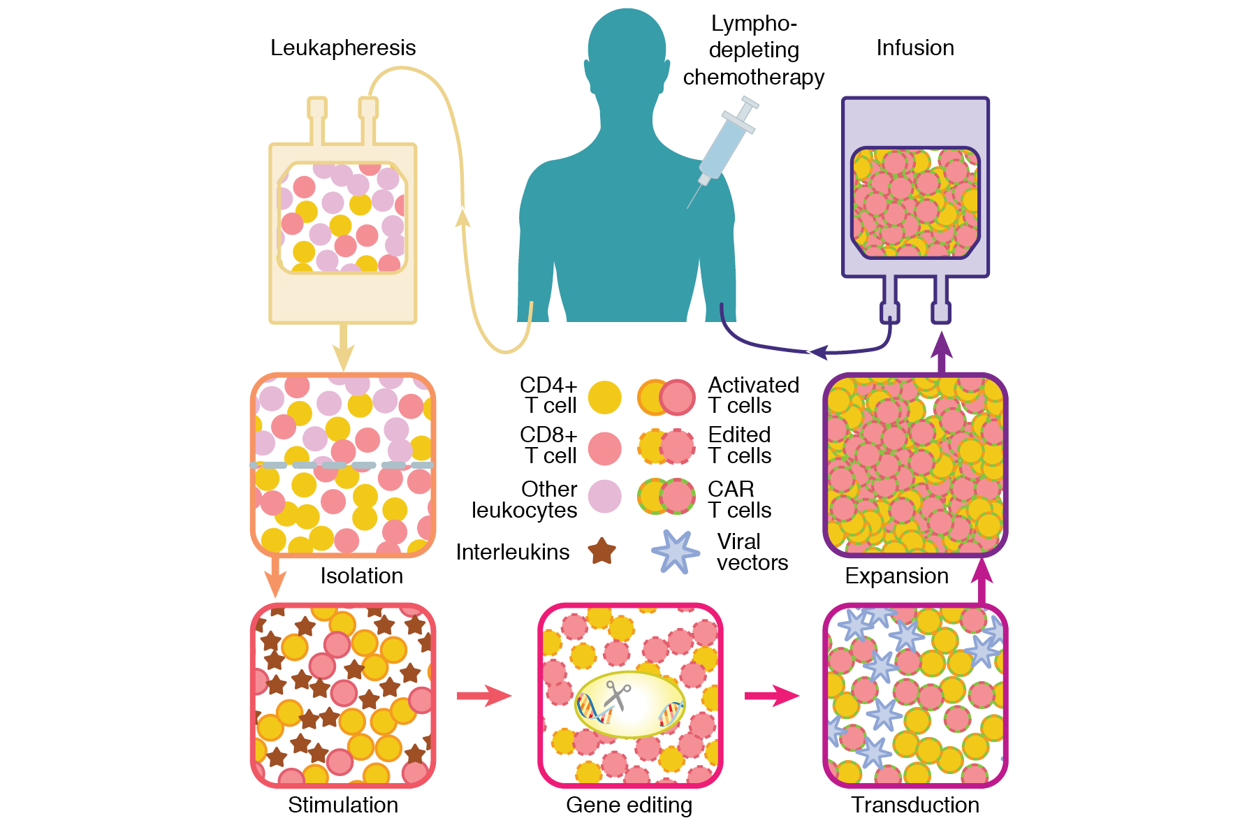 Published in Gene and Cellular Immunotherapy for Cancer