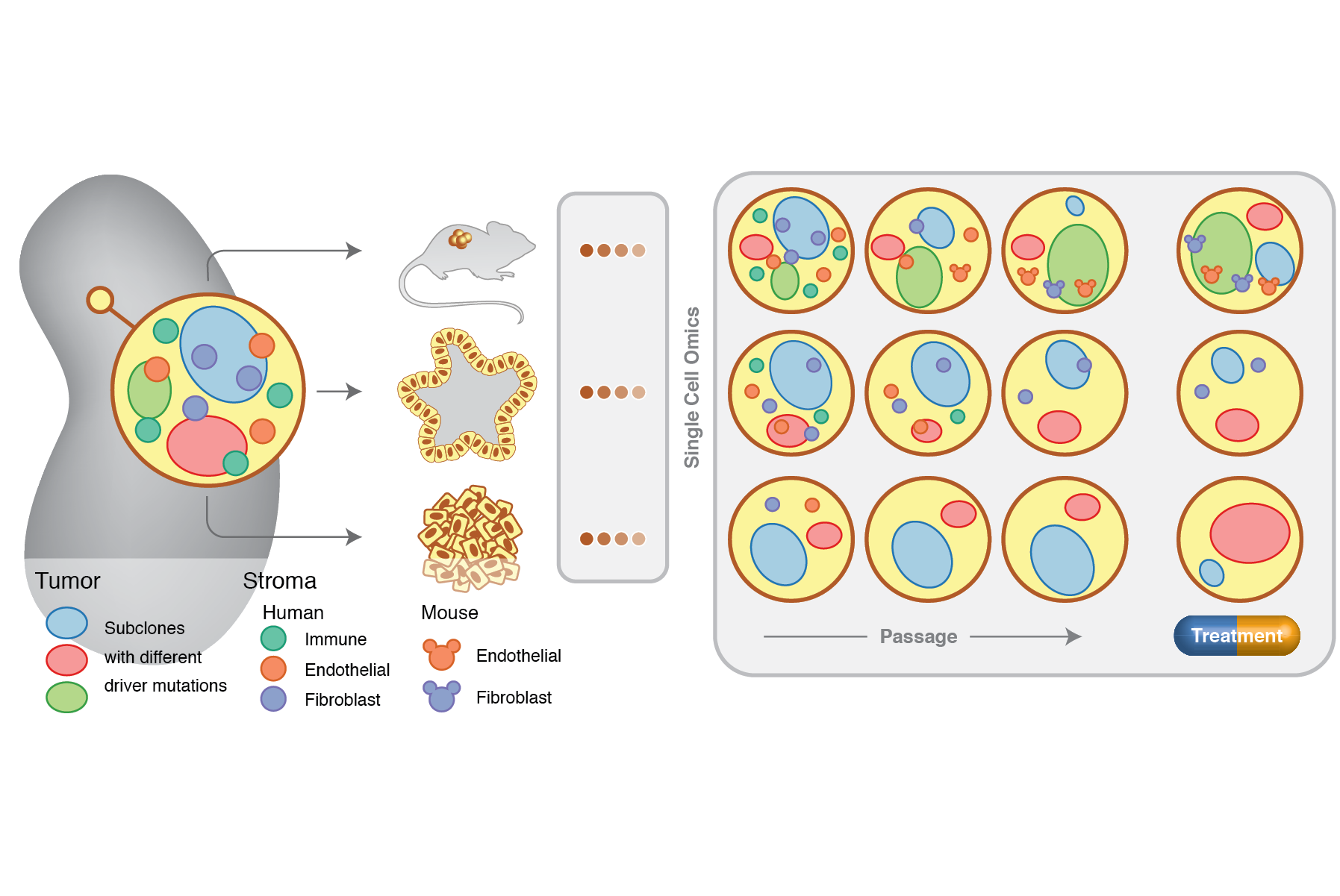 Portfolio 2026_Experime52.png