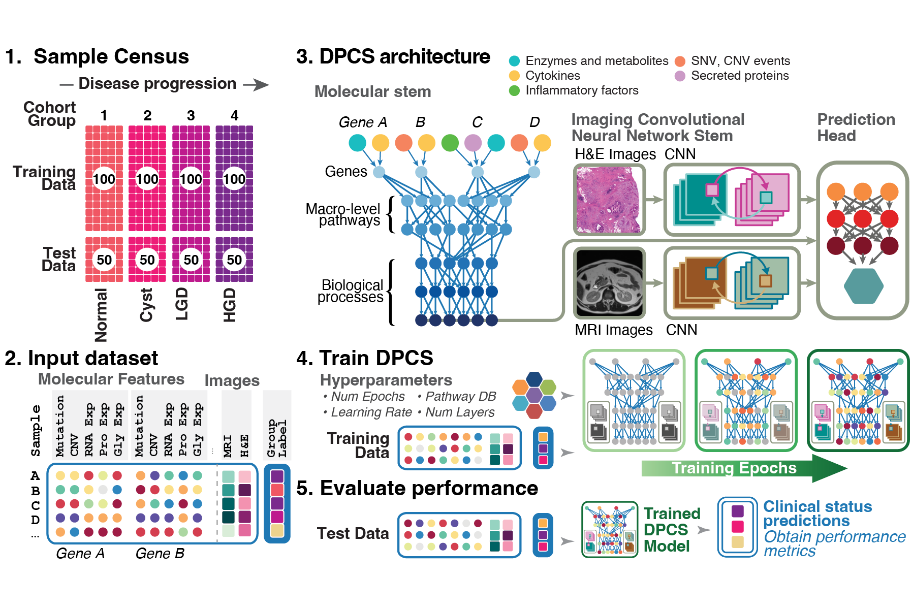 Portfolio 2026_workflow15.png