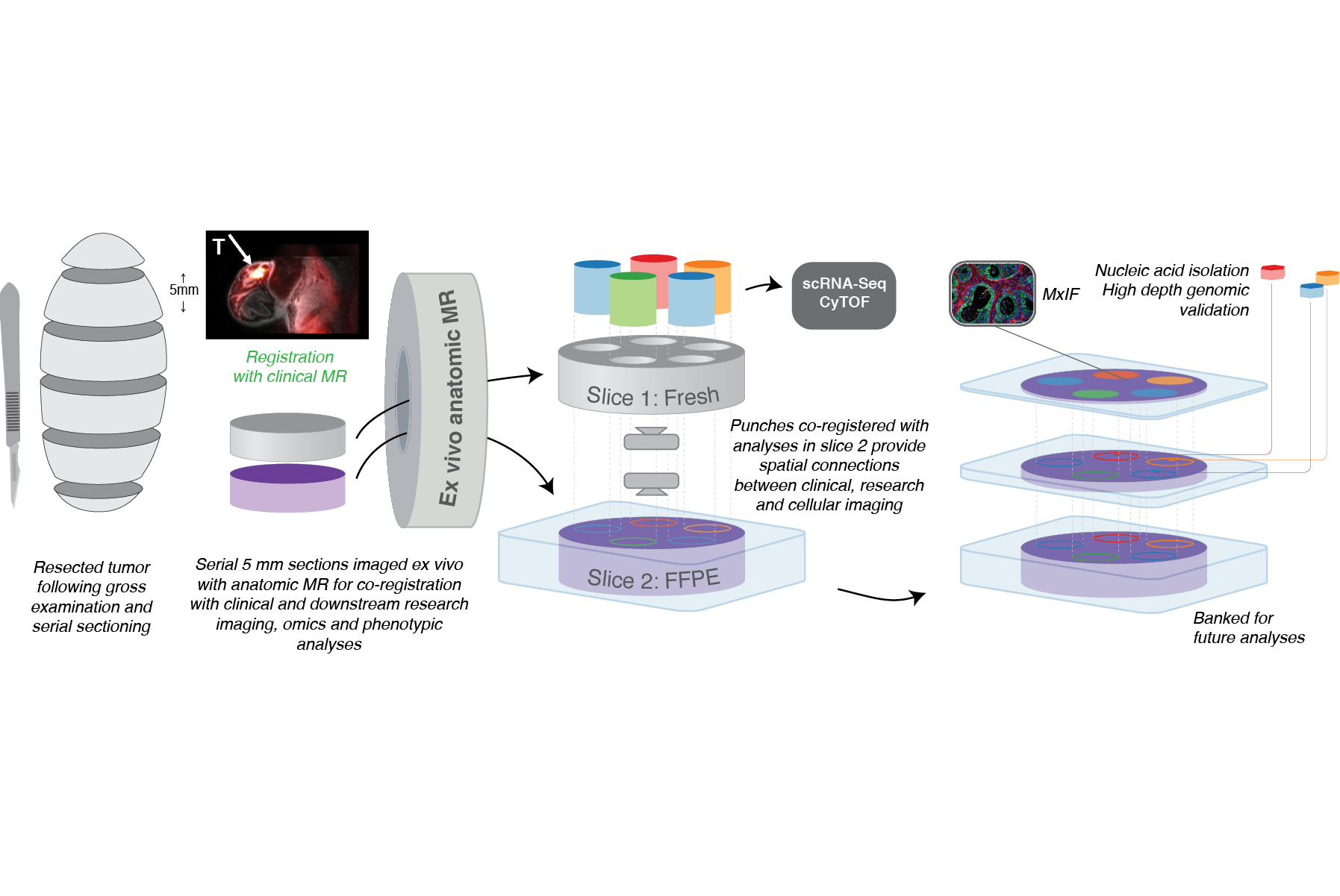 Specimen collection and processing protocol for successful HTAN grant application (2018)