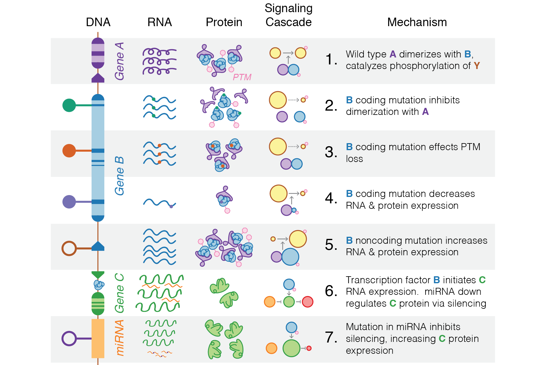 Portfolio 2026_Book26.png
