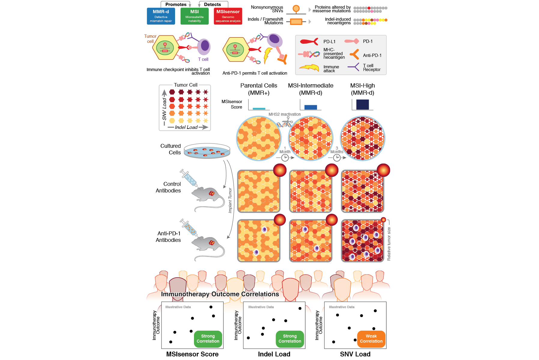 Portfolio 2026_Experime59.png