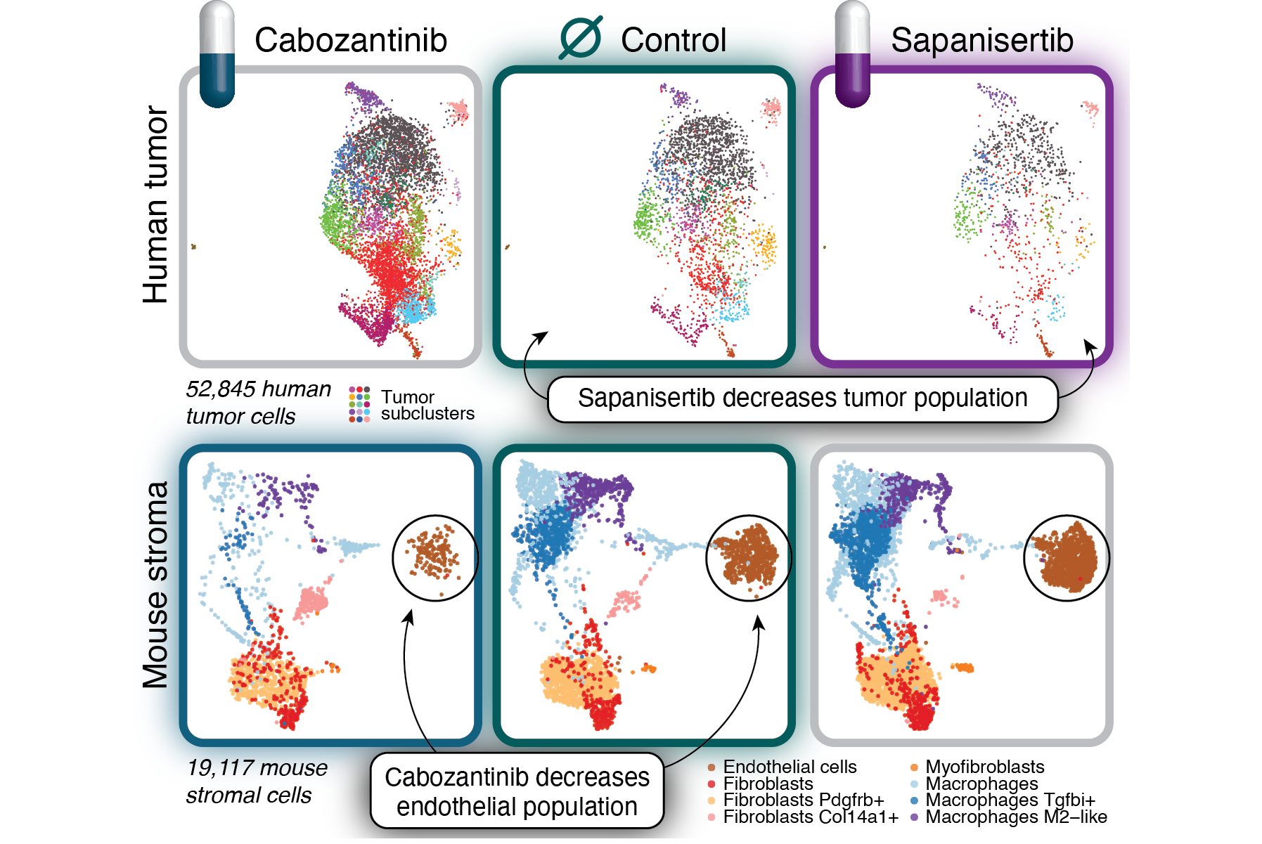 This illustration was part of a successful grant application to the PDXNet consortium.  Click image for details