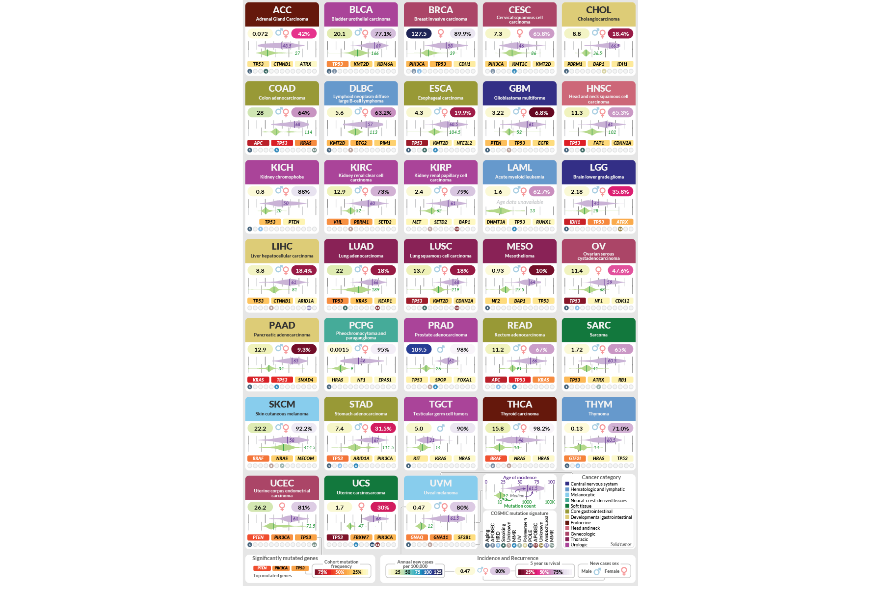 Key characteristics of cancers learned from TCGA (Nature Cancer, 2021): Published as part of a retrospective on the landmark TCGA cancer genomics program, this is a visual representation of the key findings of genomics analyses across 33 cancer types