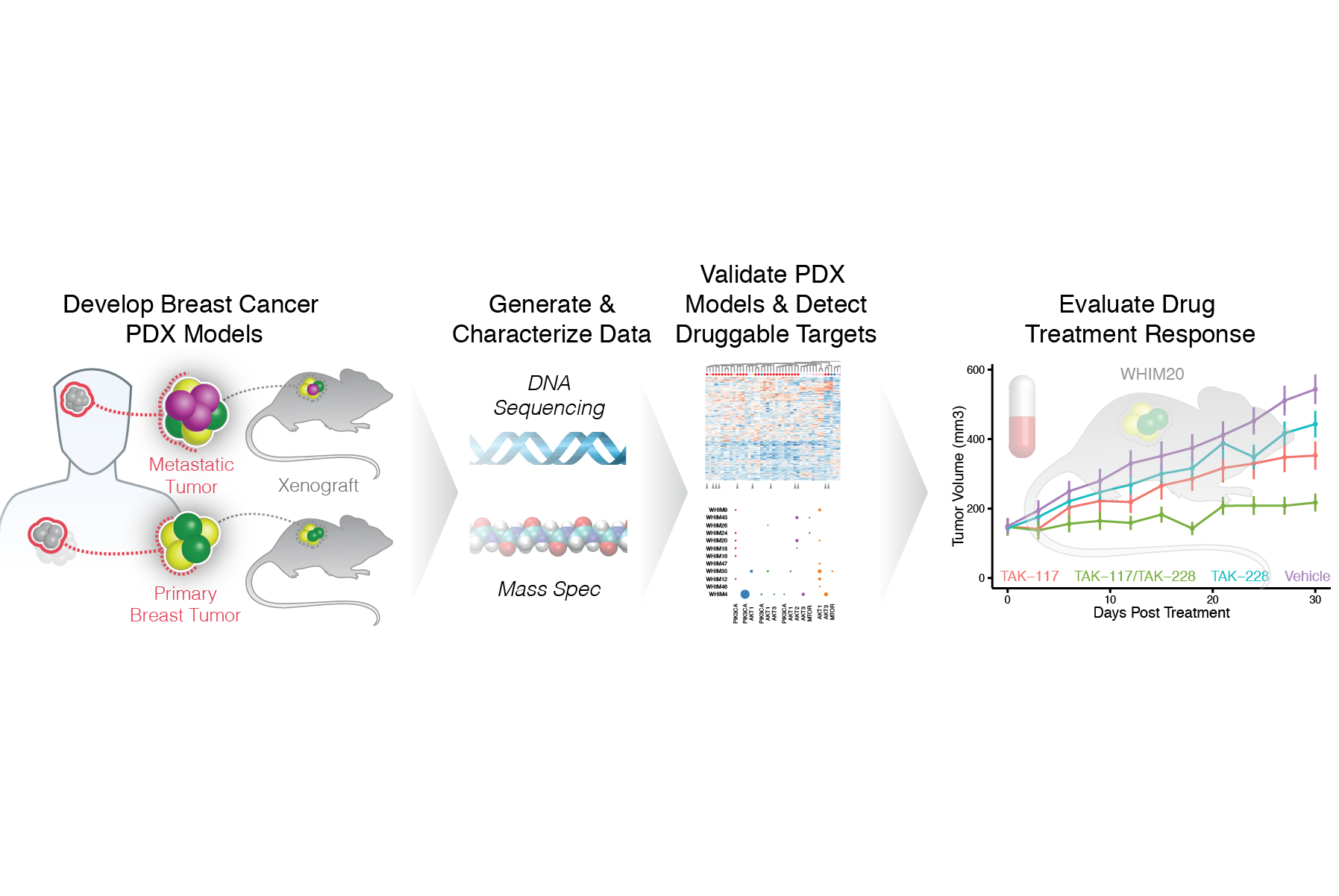 This figure was part of a successful grant application to PDXNet (2016), with an award of $6M.  Click link for details
