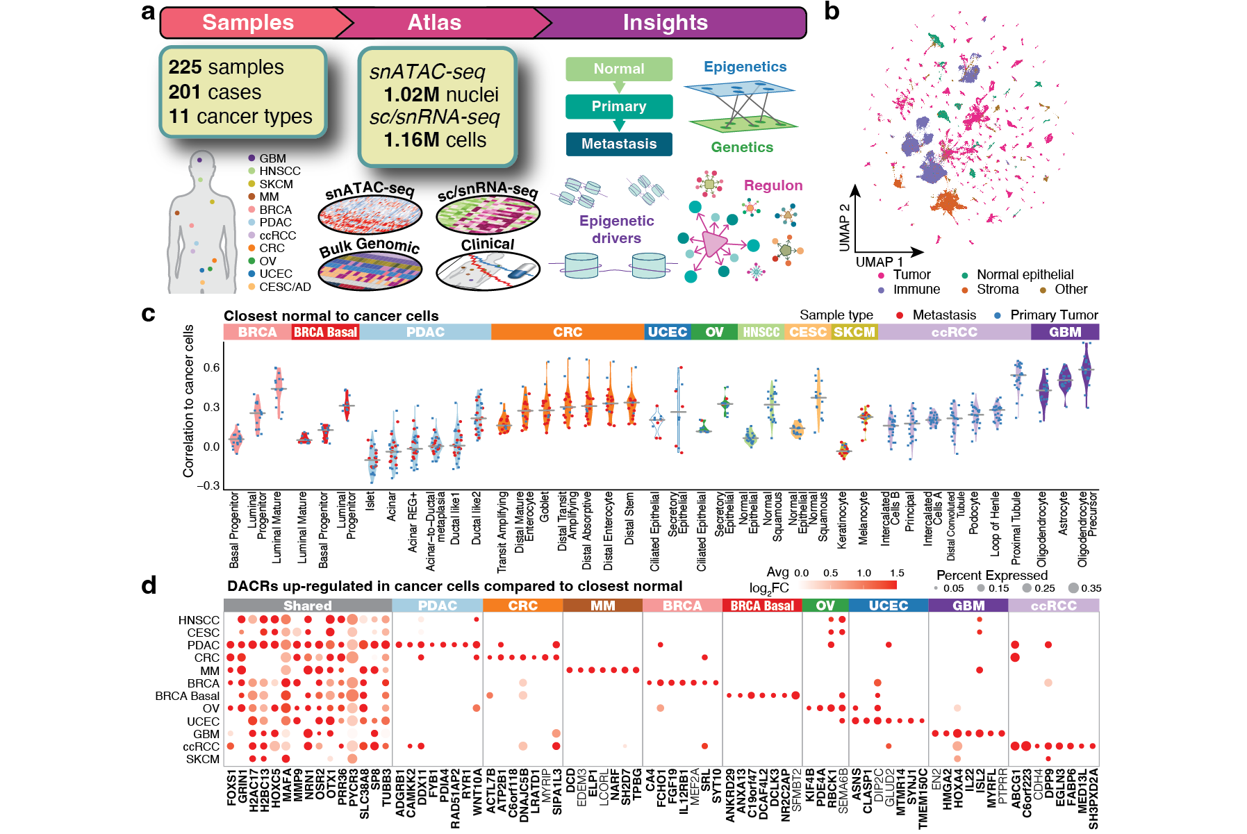 Figure published in Terekhanova, N.V. et al. Epigenetic regulation during cancer transitions across 11 tumour types. Nature 623, 432–441 (2023).
