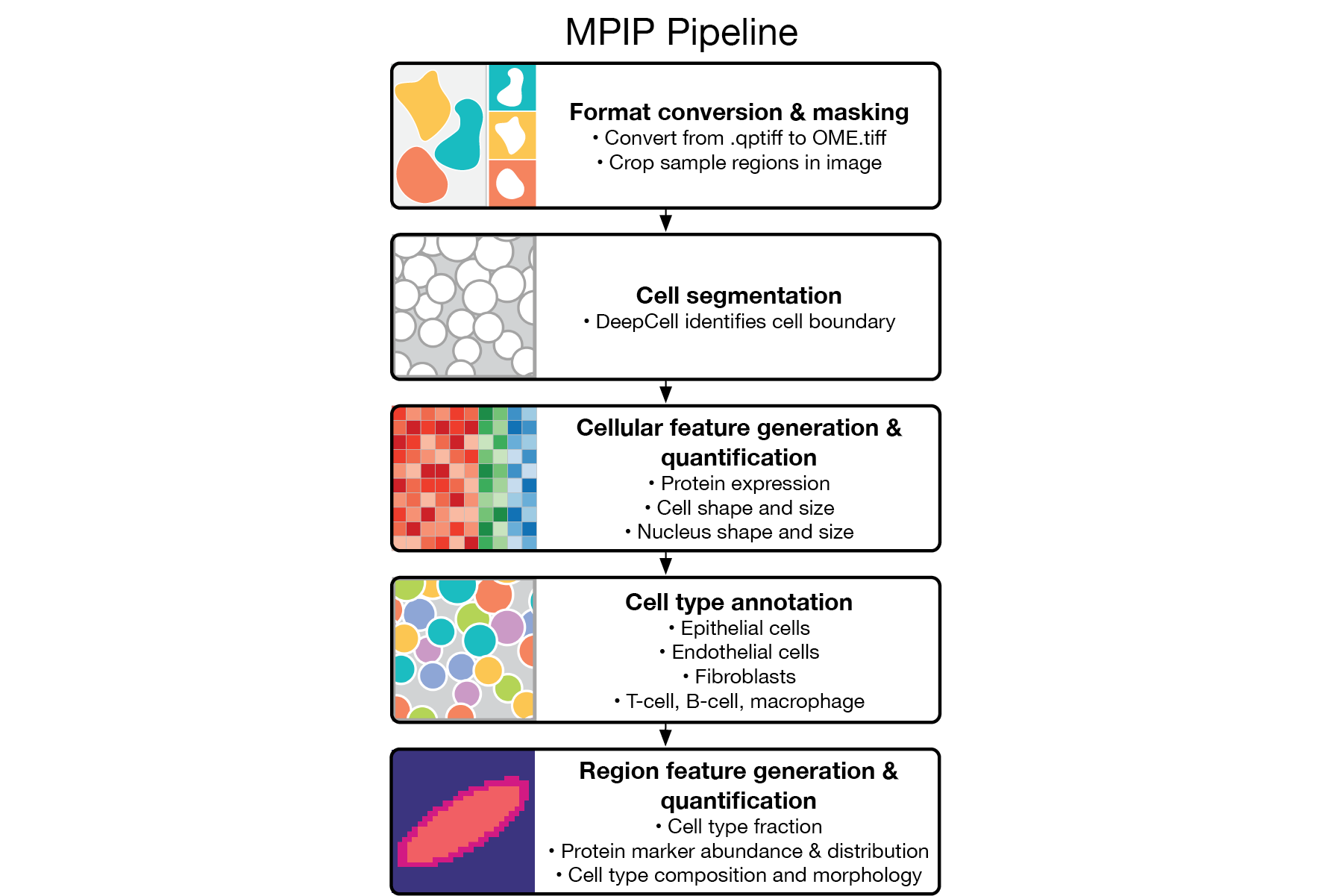 Portfolio 2026_workflow18.png