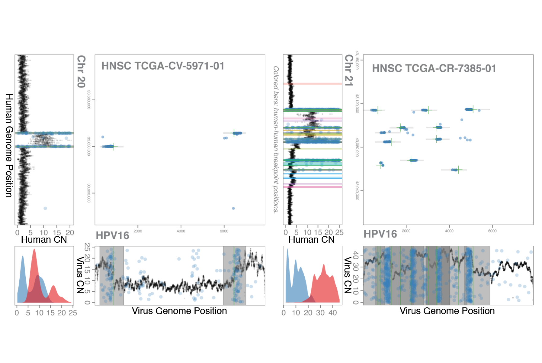 BreakpointSurveyor is a bioinformatics and data visualization pipeline developed to visualize complex viral integration events in genomic data.  Its innovative 2D visualization technique allows a number of lines of evidence of virus integration into 