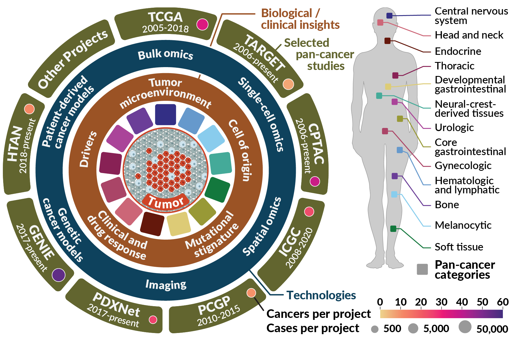 Overview of pan-cancer studies.  Published in Nature Cancer (2021).  Click link for details