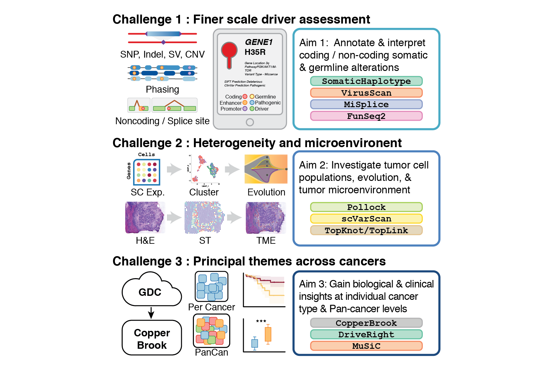 This figure was part of a successful grant application to TCGA GDAN (2020), with an award of $2M.  Click link for details