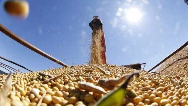 No MS, produtores aproveitam estiagem para acelerar colheita da soja