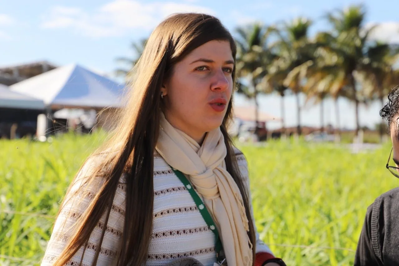 Projeto Fazendinha apresenta técnicas de ovinocultura, mudas de pastagens e correção do solo