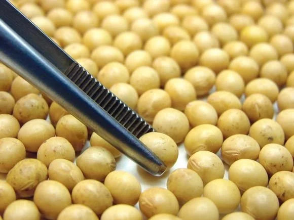 Sindicato Rural de Dourados tem inscrições abertas para 5 cursos