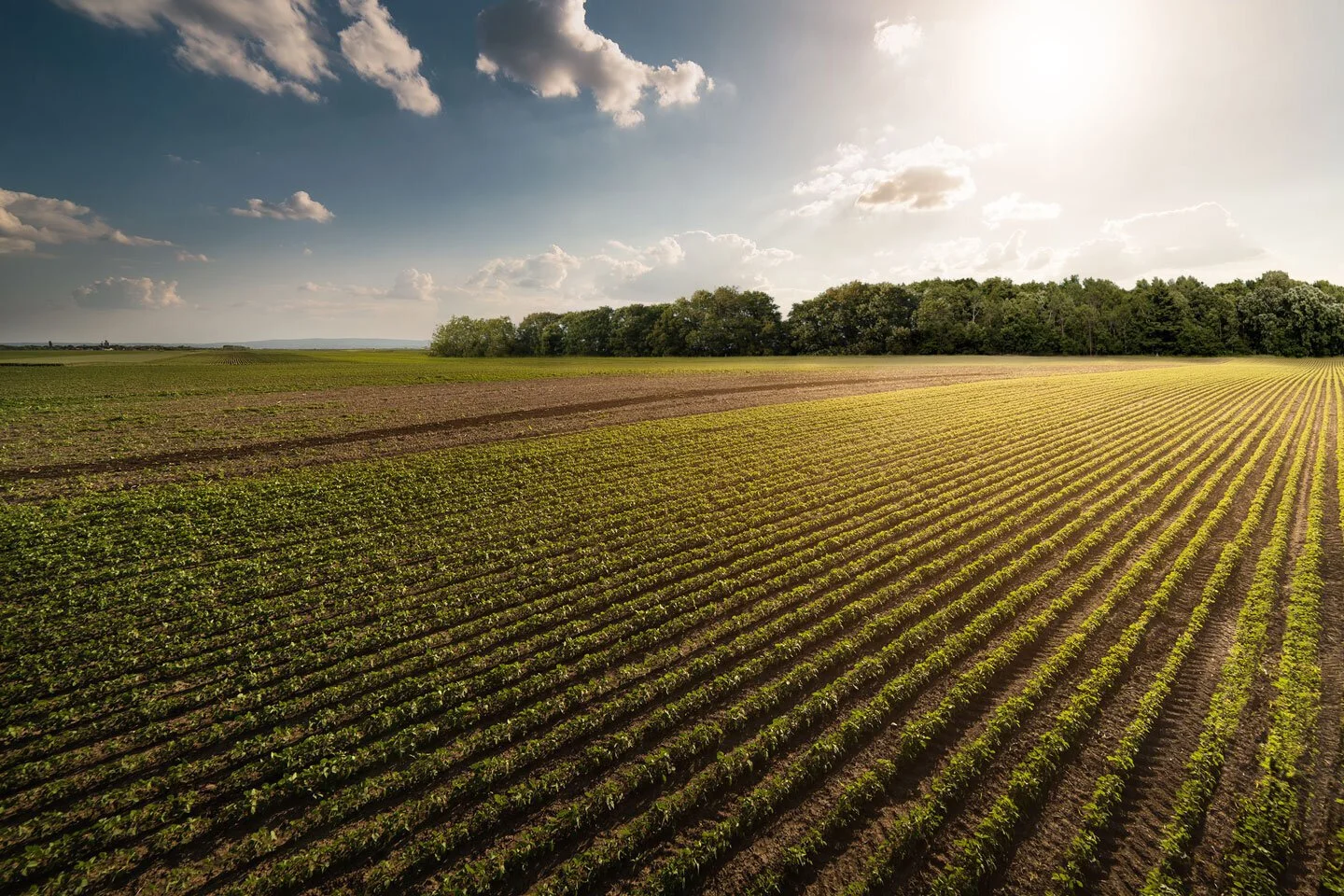 Sindicato Rural de Dourados se solidariza com as manifestações democráticas e ordeiras que buscam a lisura no resultado das Eleições 2022