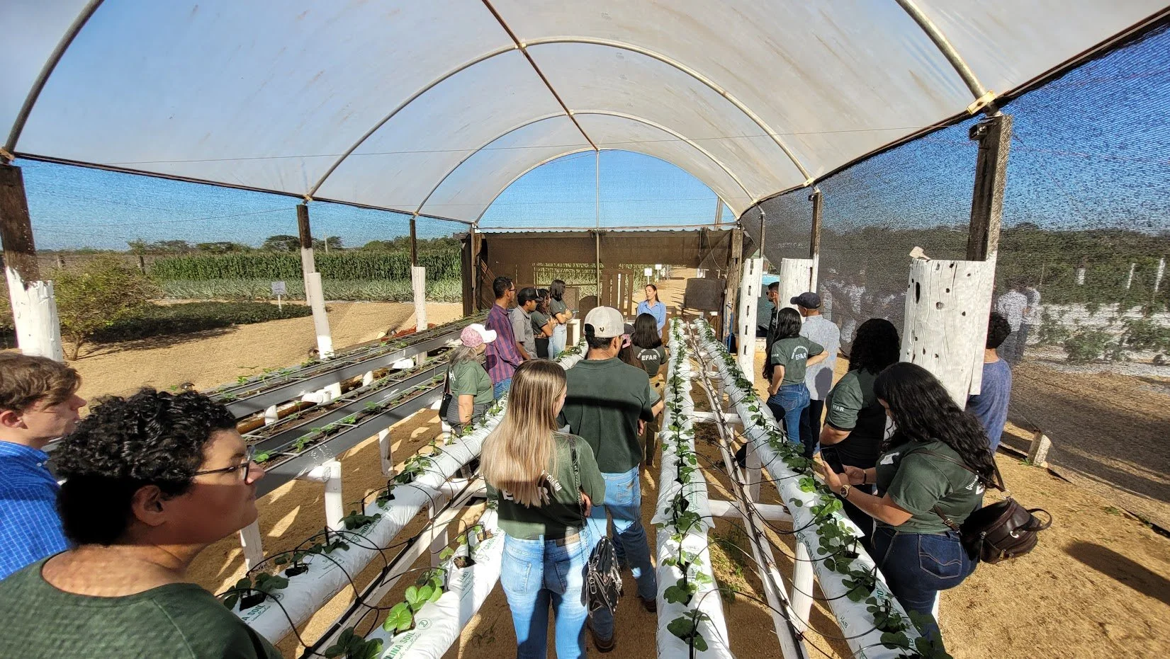 Programa empreendedor rural para jovens está com inscrições abertas em Dourados