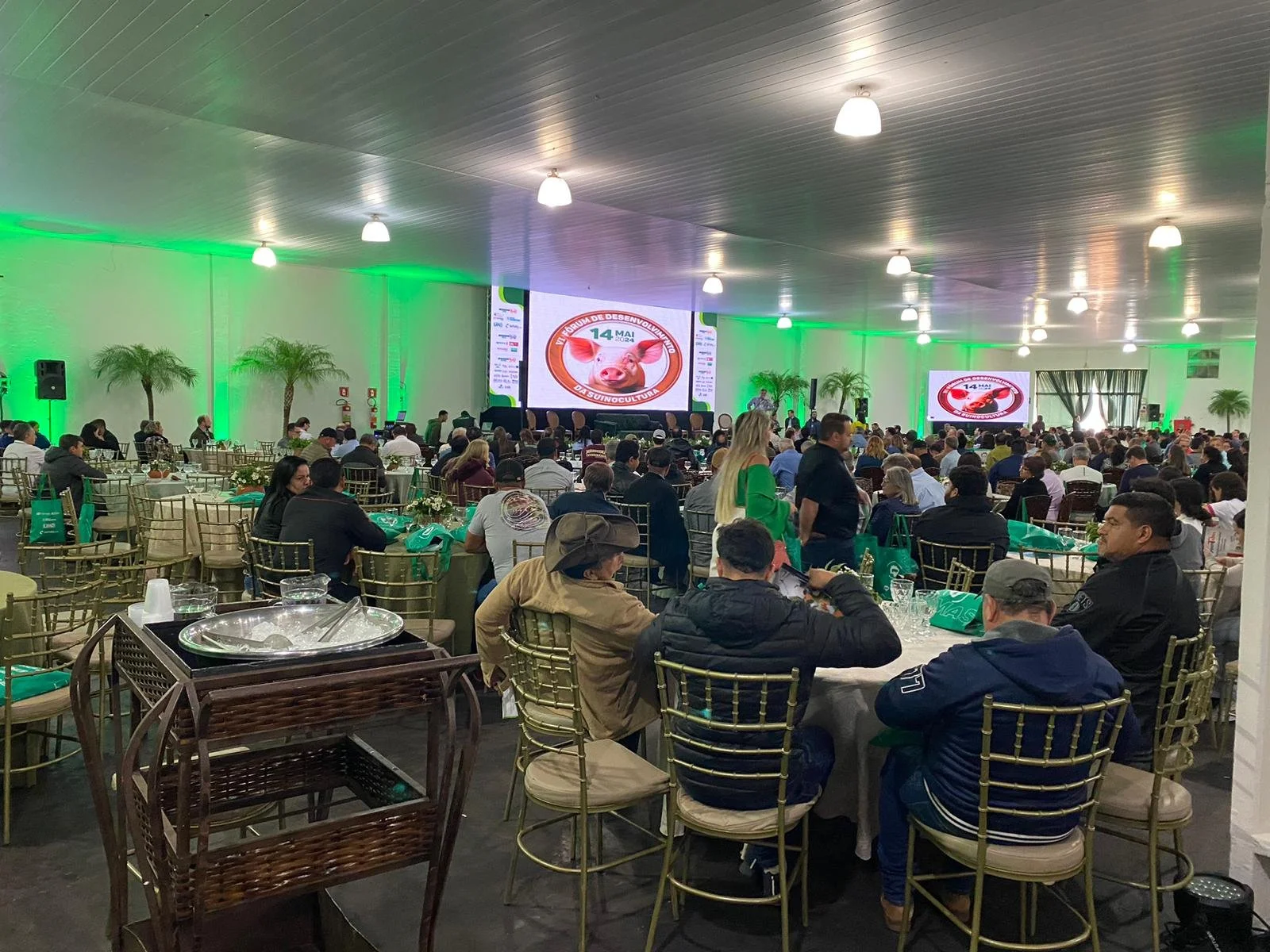 Suinocultura está em plena ascensão em Mato Grosso do Sul, diz presidente da Asumas