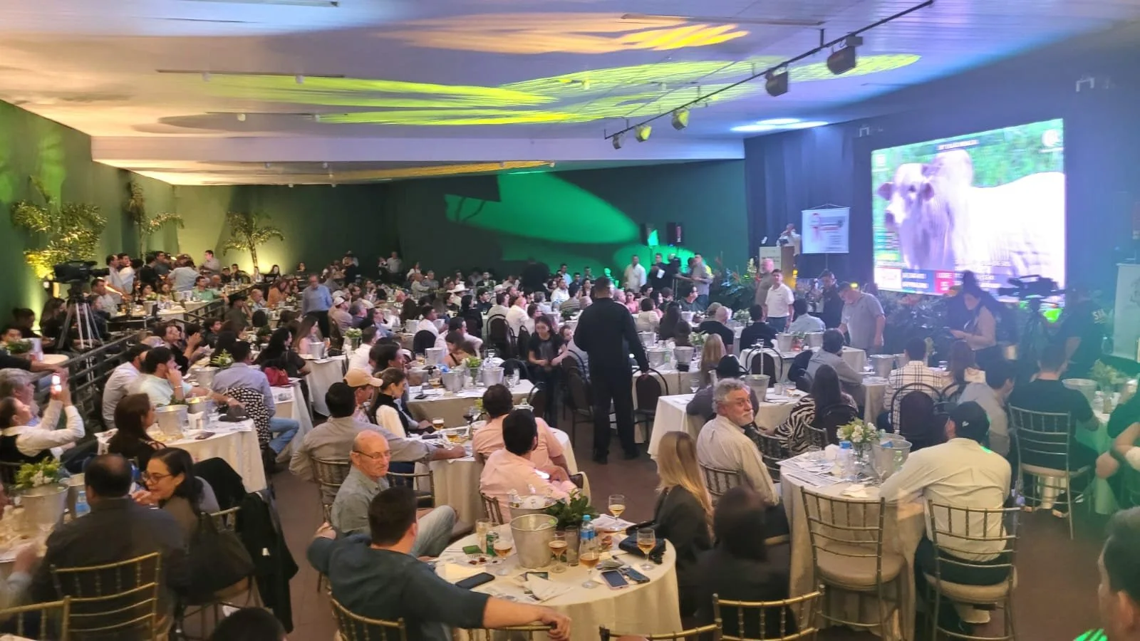 Leilão Ribalta movimenta a Expoagro