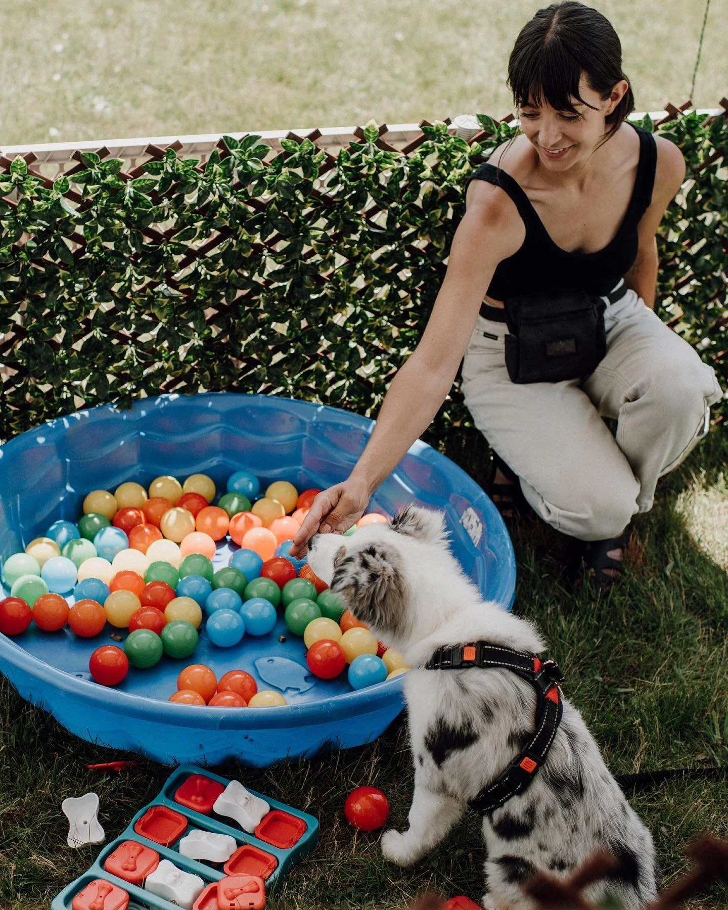 ☀️We had a great weekend @woofaroo 🐶 

Thank you to everyone who stopped by our booth! We enjoyed meeting everyone, launching our new biothane long-line leashes and allowing the pups a decompression break in the enrichment station we created in the 