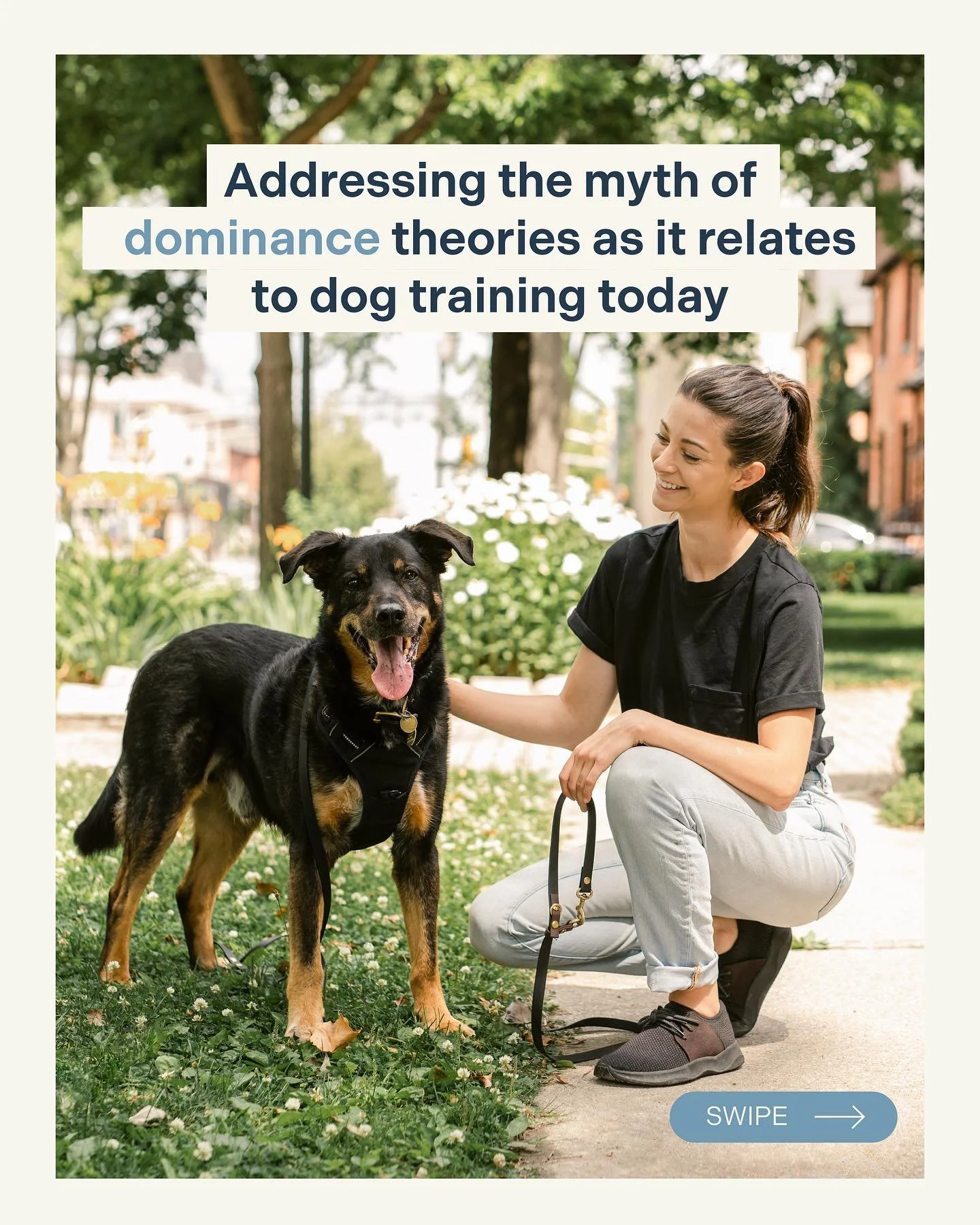 Did you know the concept of being &ldquo;the pack leader&rdquo; is just a belief? 

This concept is not based on wolf or dog behaviour, in fact, it isn&rsquo;t based on any evidence at all! 

The concept of being &ldquo;the pack leader&rdquo; or bein