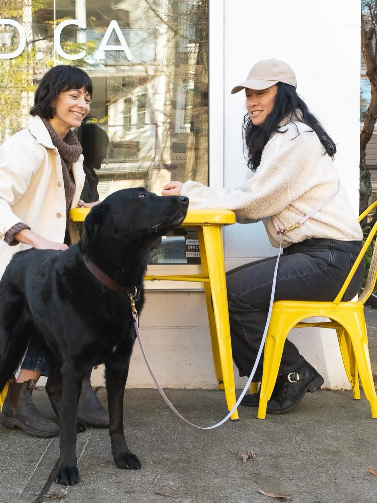 The Everyday Leash in Lavender with Wine details and Brass hardware. A soft but bright colour combo that pops on regal black lab Luna.
Hand-made in Vancouver and available online for delivery or local pick up.&nbsp;&nbsp;- - www.forthedogstraining.ca