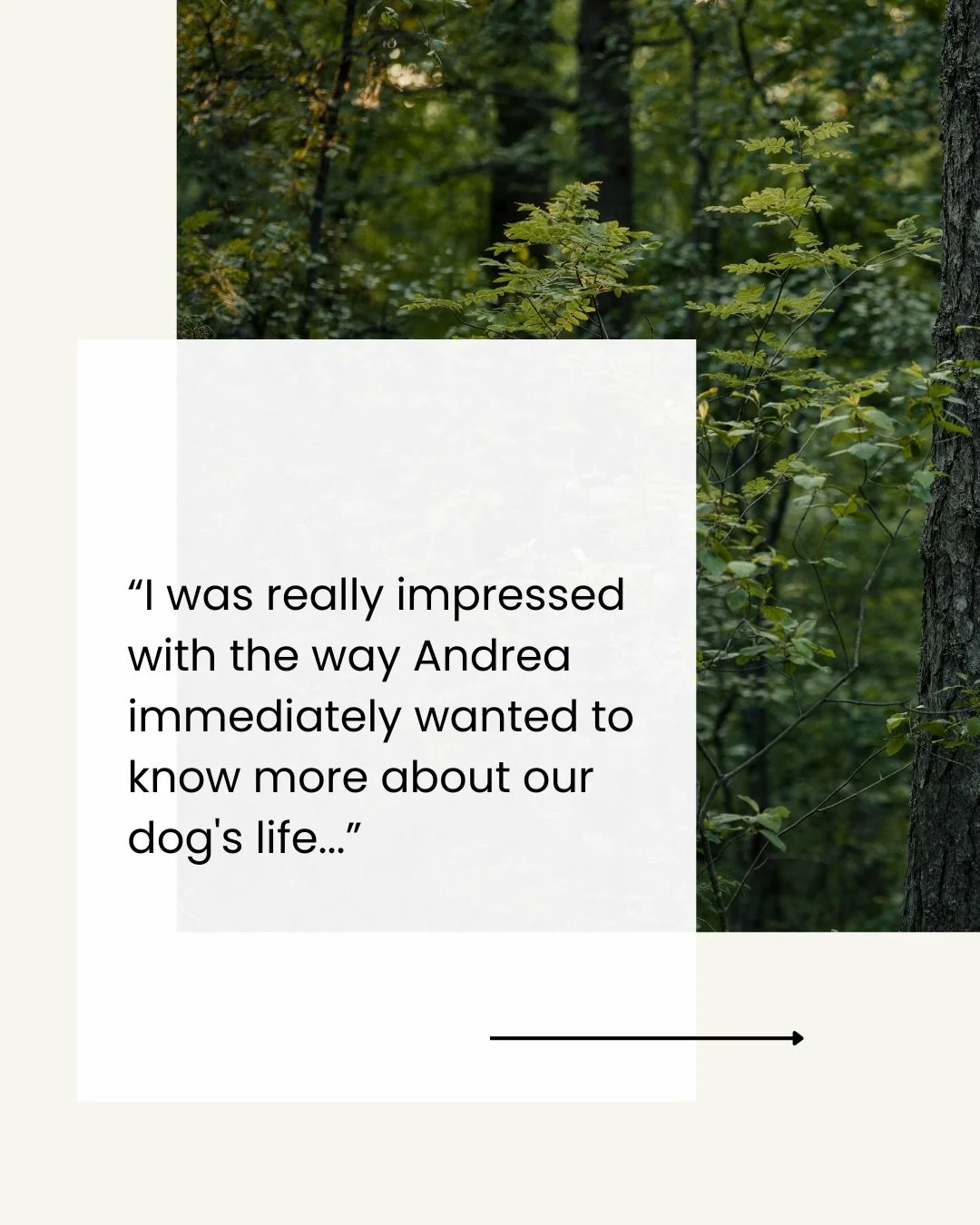 After 6 years running my online consulting practice, here&rsquo;s what I&rsquo;m most proud of: people don&rsquo;t learn to &ldquo;fix&rdquo; their dogs, they learn to understand them.
When you build nervous system awareness, learn to read stress sig