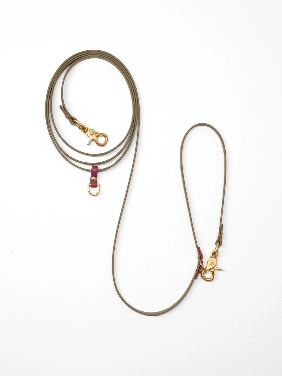 Brass Everyday 8-foot Biothane Leash