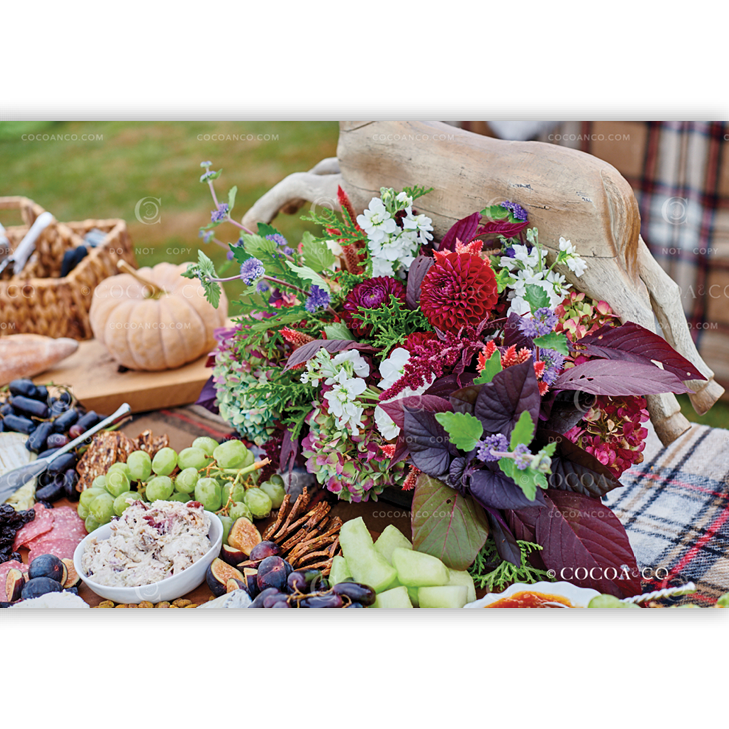 1560_THMB_TRADITIONAL_CC092620.png