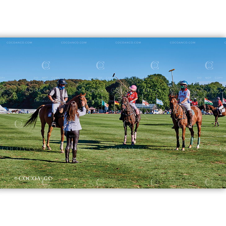 1303_THMB_TRADITIONAL_CC092020.png
