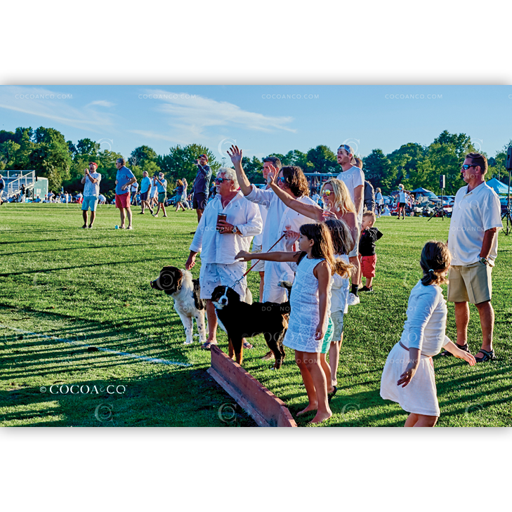 1072_THMB_TRADITIONAL_CC090520.png
