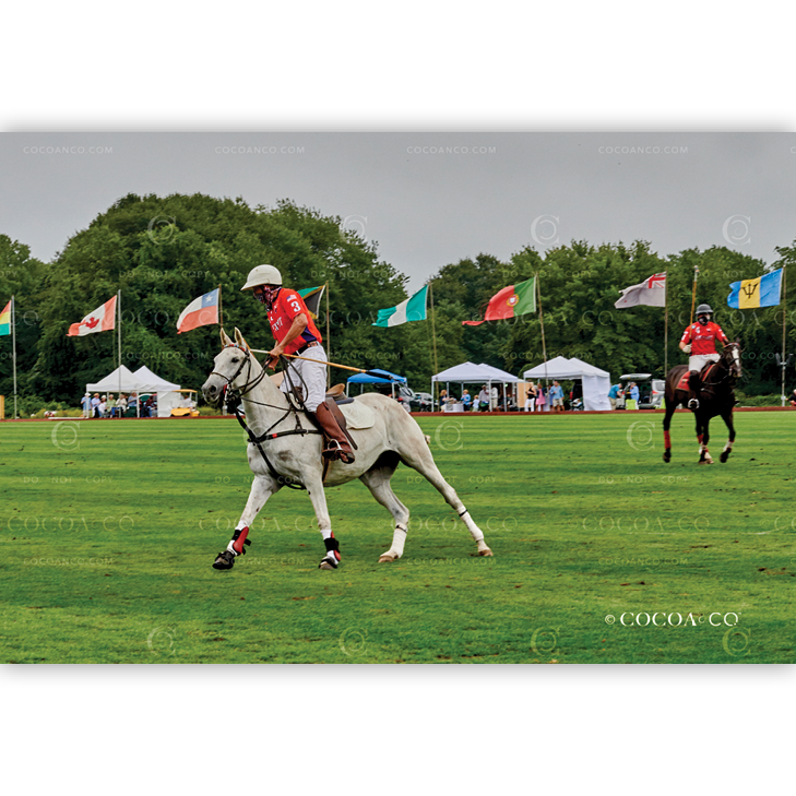 773_THMB_TRADITIONAL_CC083020.png
