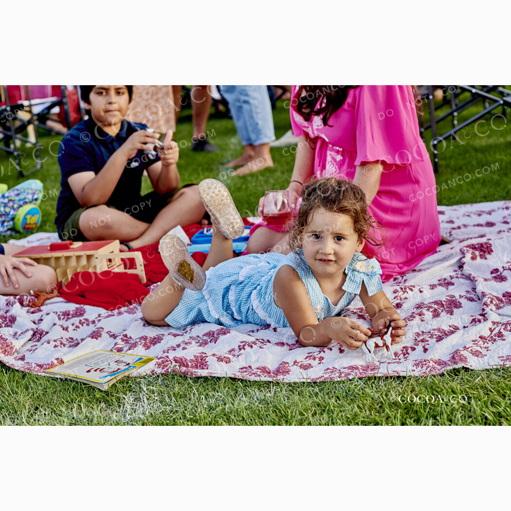 No. 2792 | USA vs Jamaica - Traditional Style