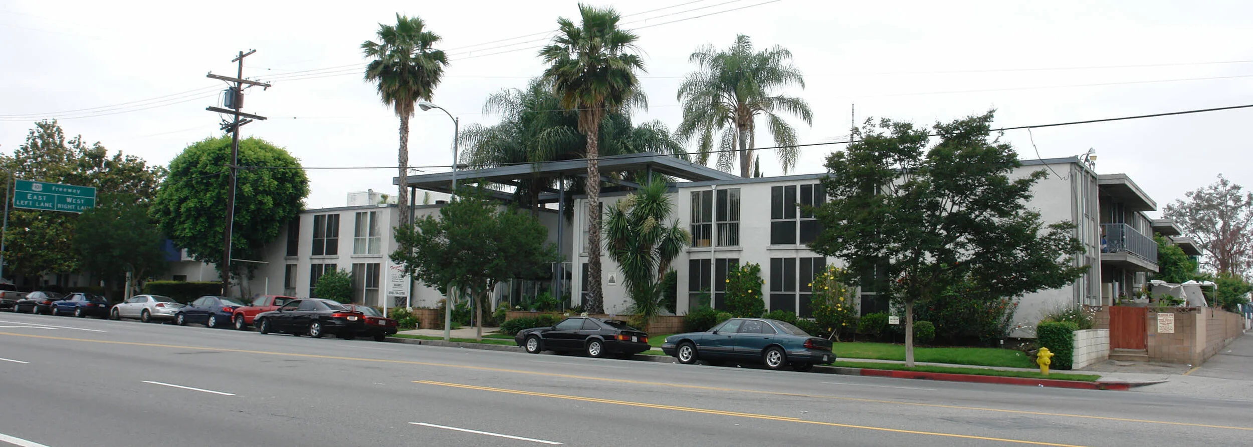 Tarzana Palms