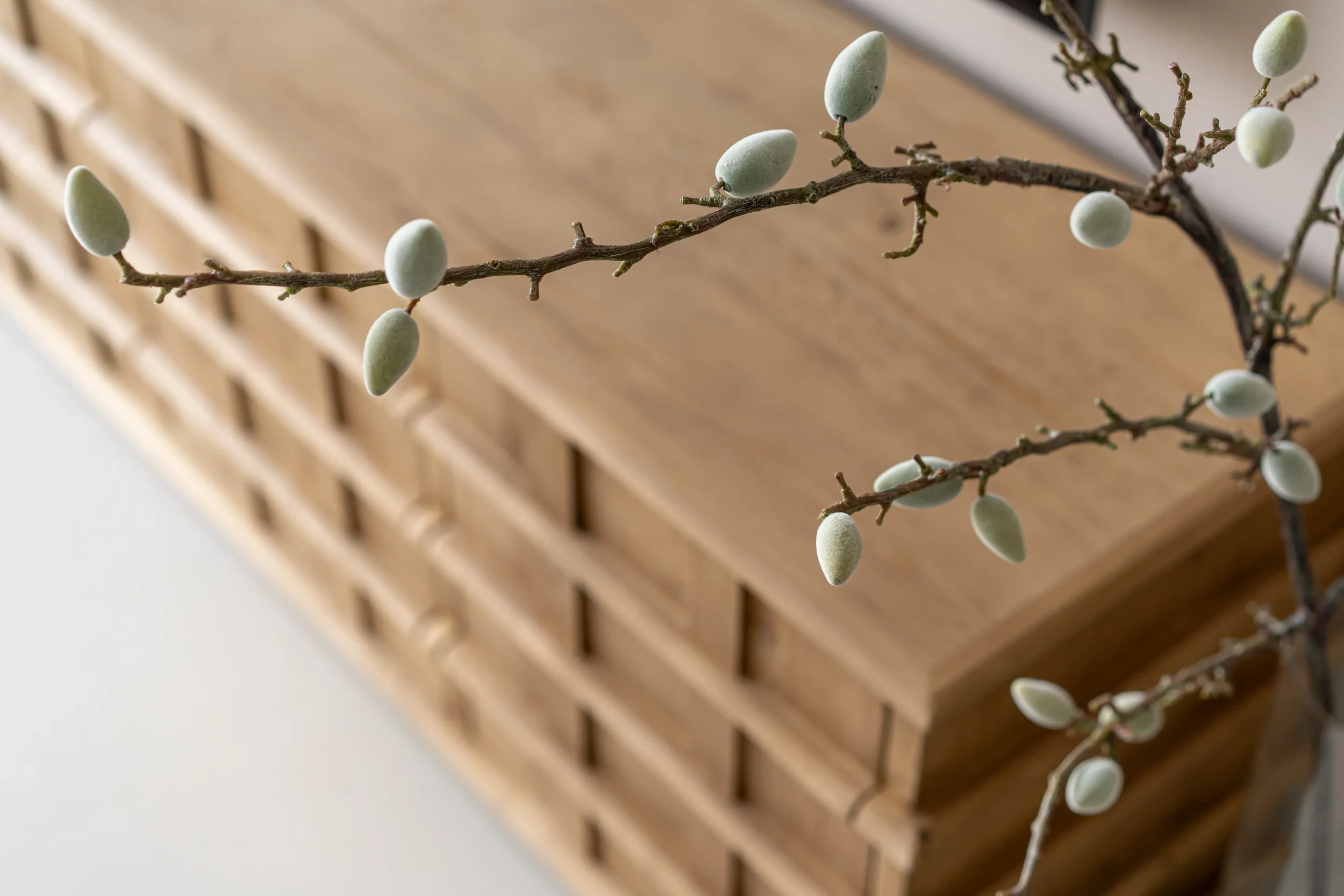 Close-up of a branch with green, oval-shaped buds or seed pods, placed in front of a wooden slatted cabinet or drawer.
