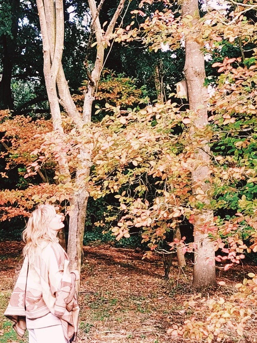 Seasonal Self Care: Energetic Preparation for Winter