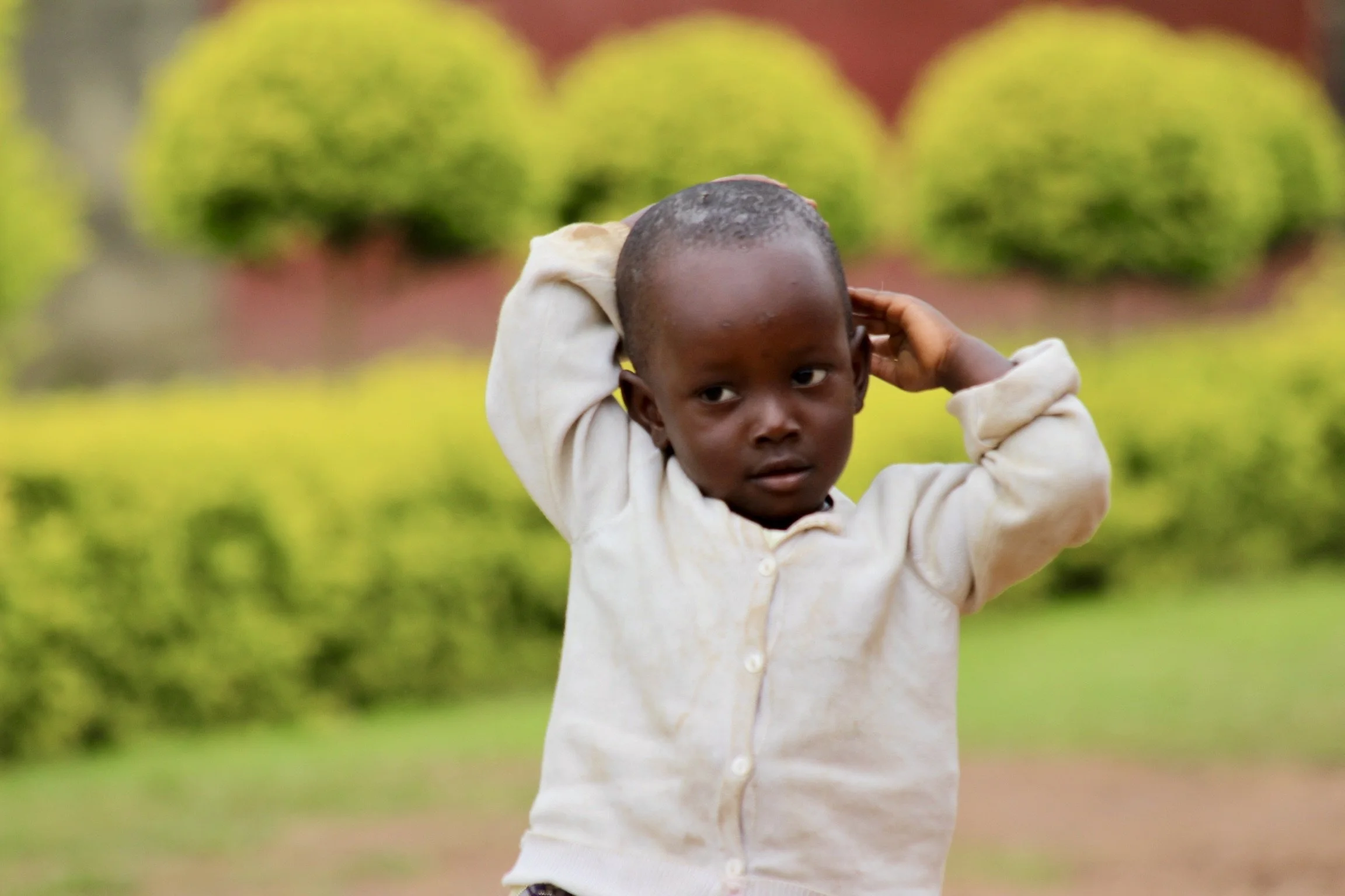 The Top Ten Things You Should Know About Malaria