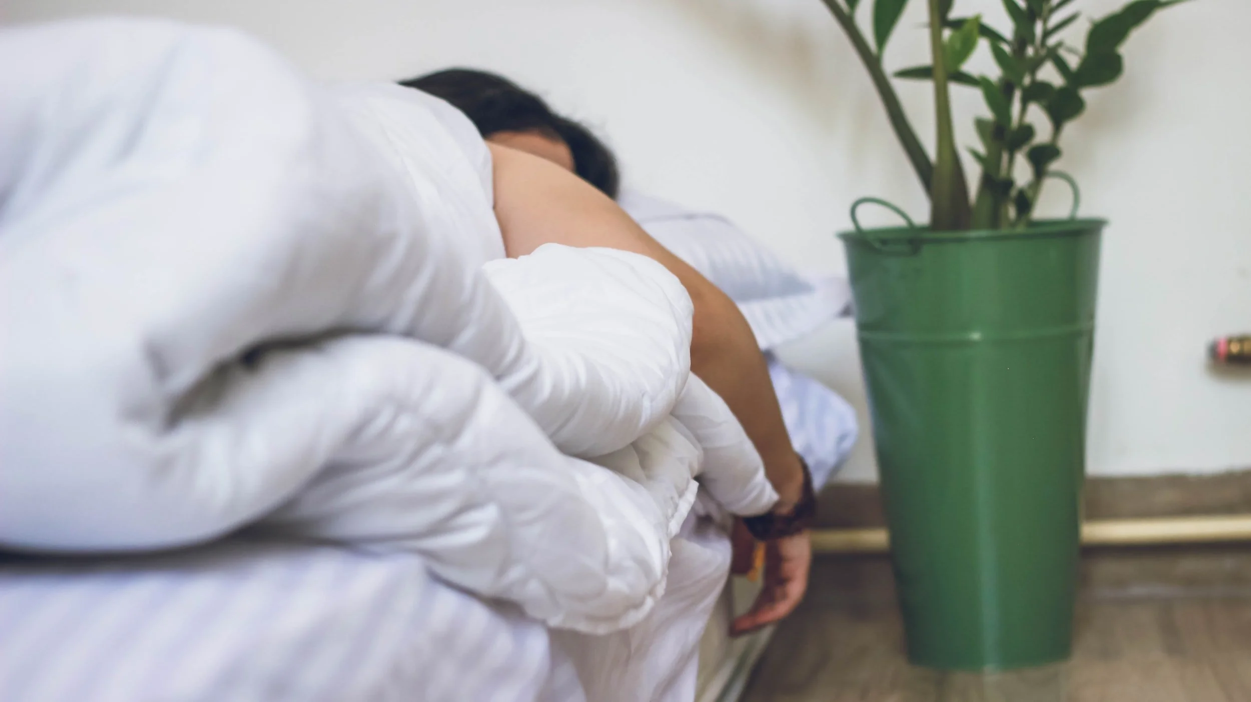 Sleep Concerns
