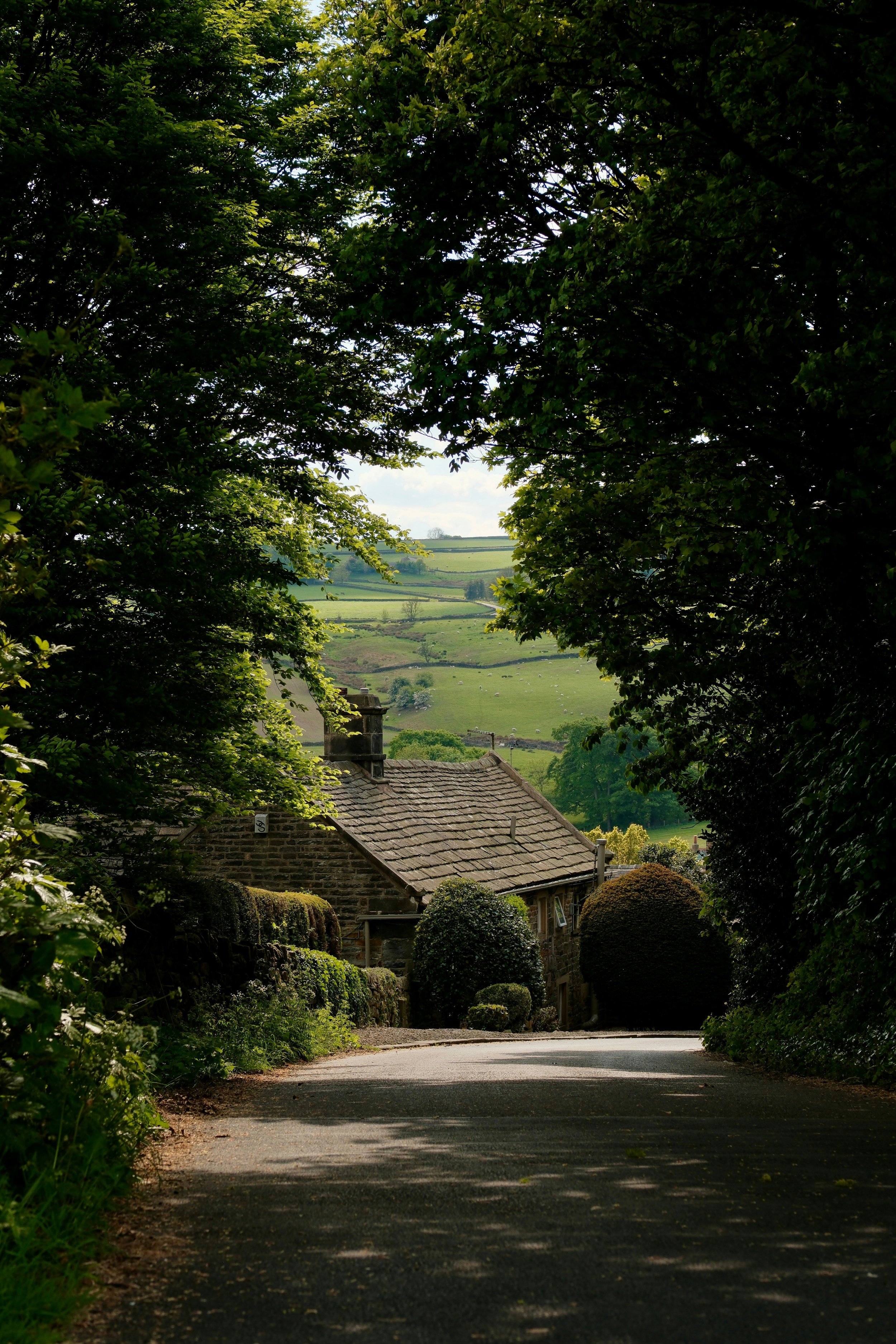 55. The Shepherd Who Leads Us Home | Psalm 23:5–6