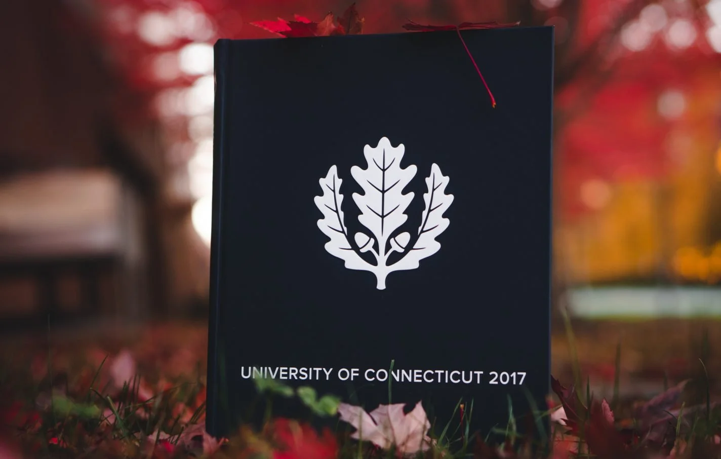 Yearbook — Nutmeg Publishing