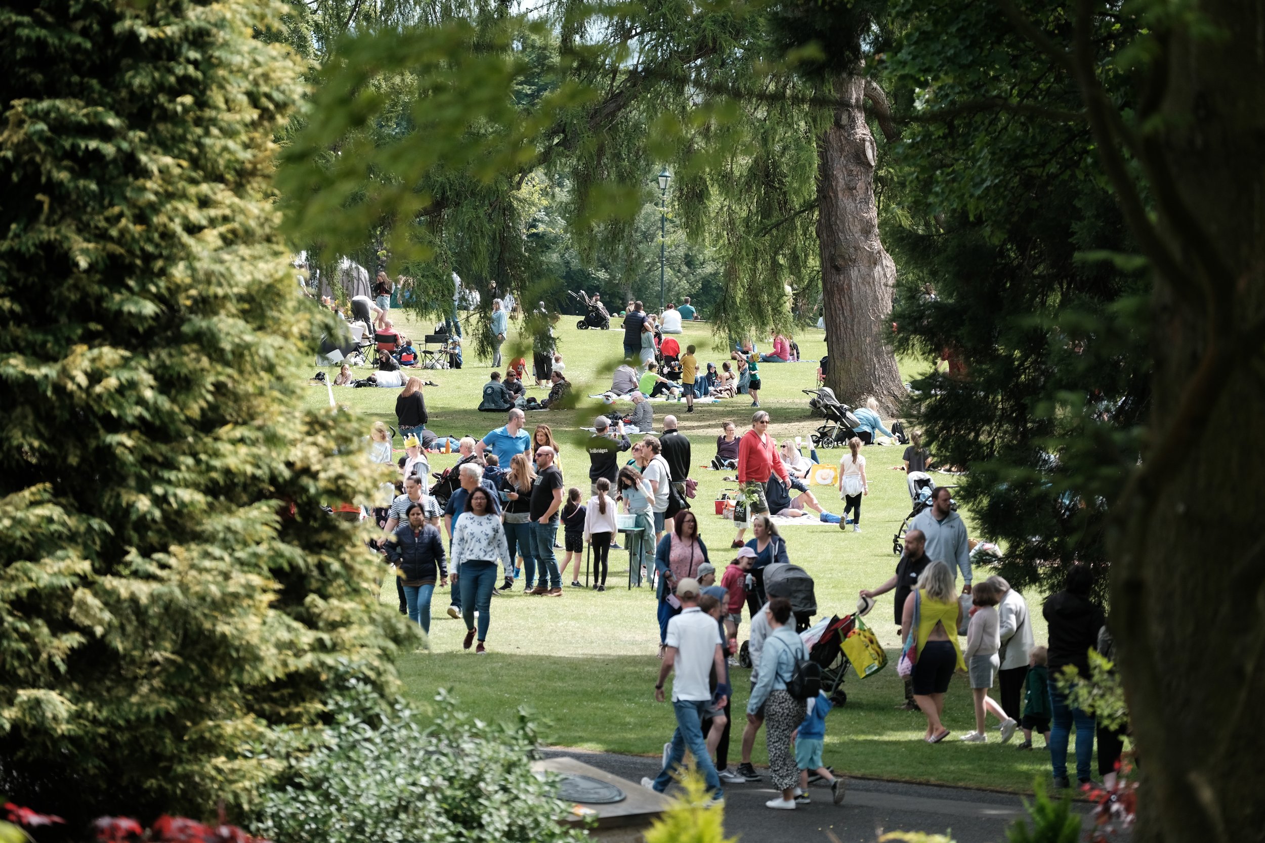 Crowds in the park.JPG